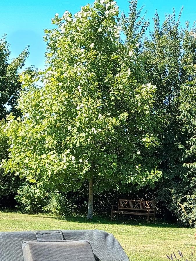 Gite D'Anne Et Ulysse Sept-Freres Zewnętrze zdjęcie